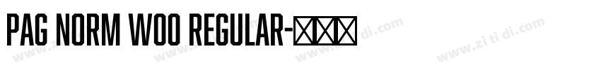 PAG Norm W00 Regular字体转换